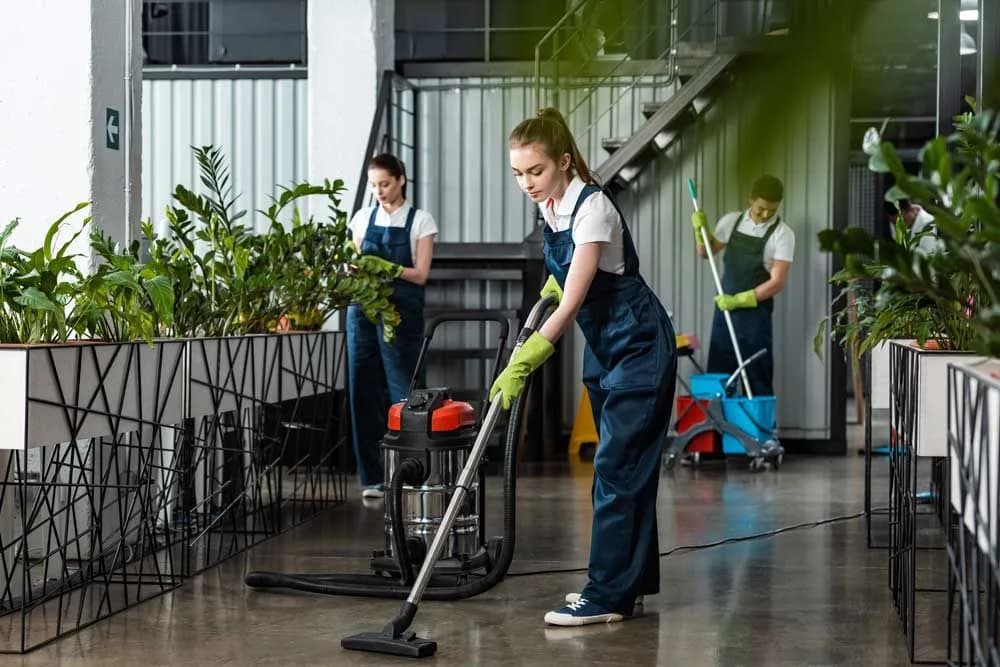 Städare dammsuger och moppar ett kontor med växter